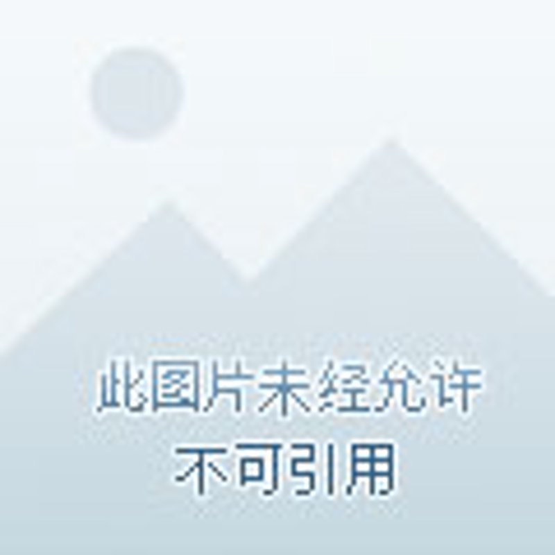 阅读理解训练：开启知识宝库的钥匙